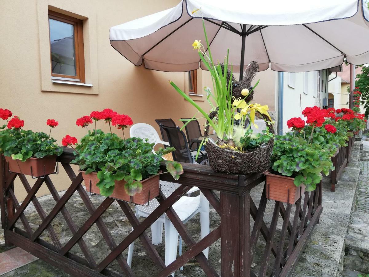 Bed and Breakfast Olze Panzio Erdőbénye Esterno foto